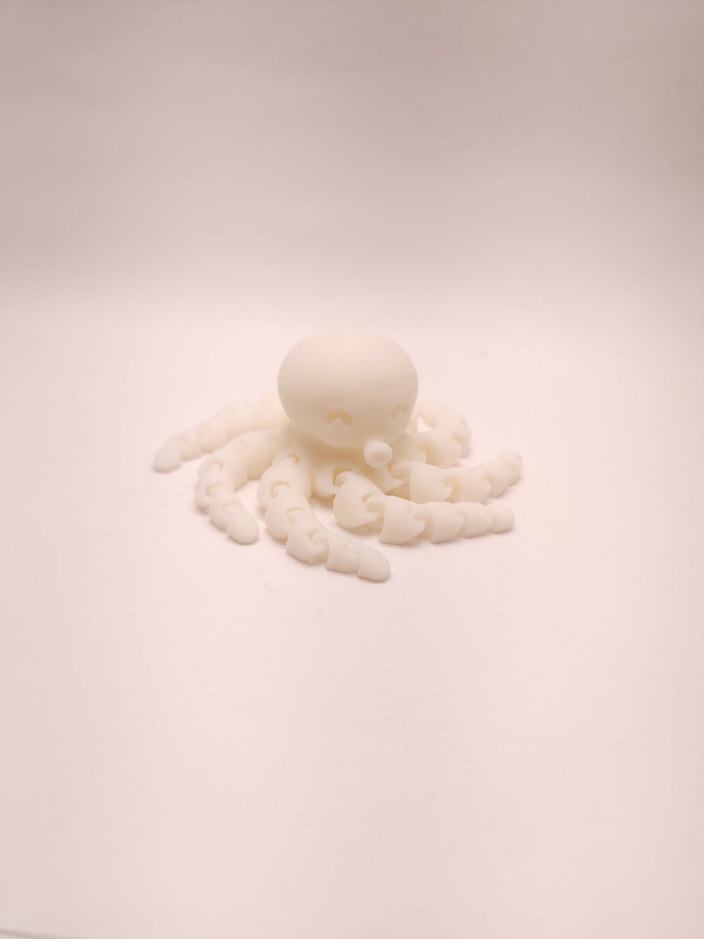 3D Printed Octopus